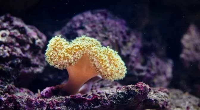 Friday scribbles: always be a sponge